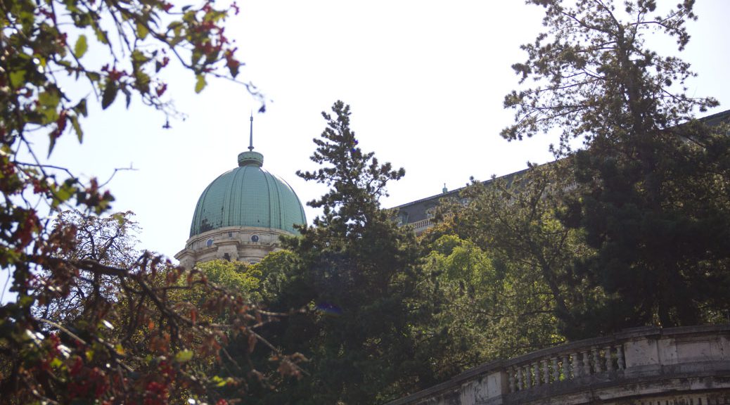 kuppel hinter bäumen