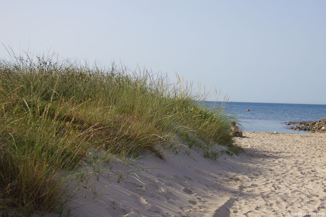 zugang zum strand mit einer grün bewachsenen Düne