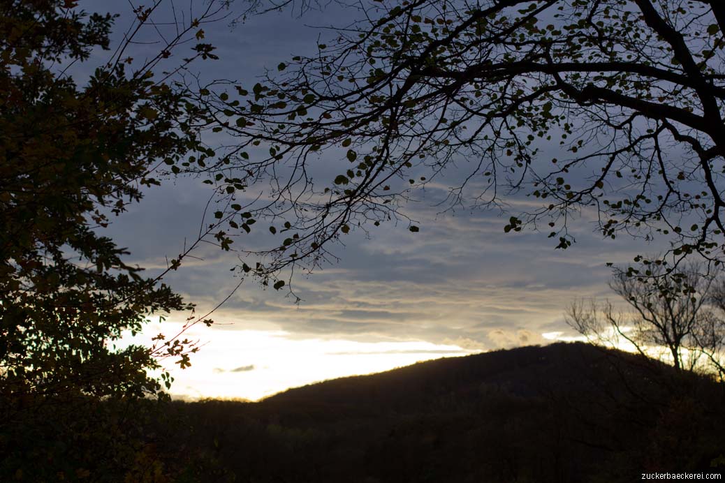 sonnenuntergang wolken und herbstlicher baum