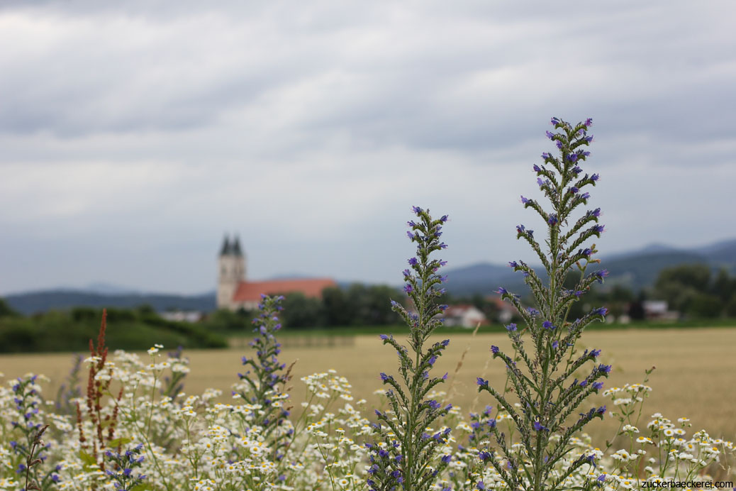 blick über felder im sommer