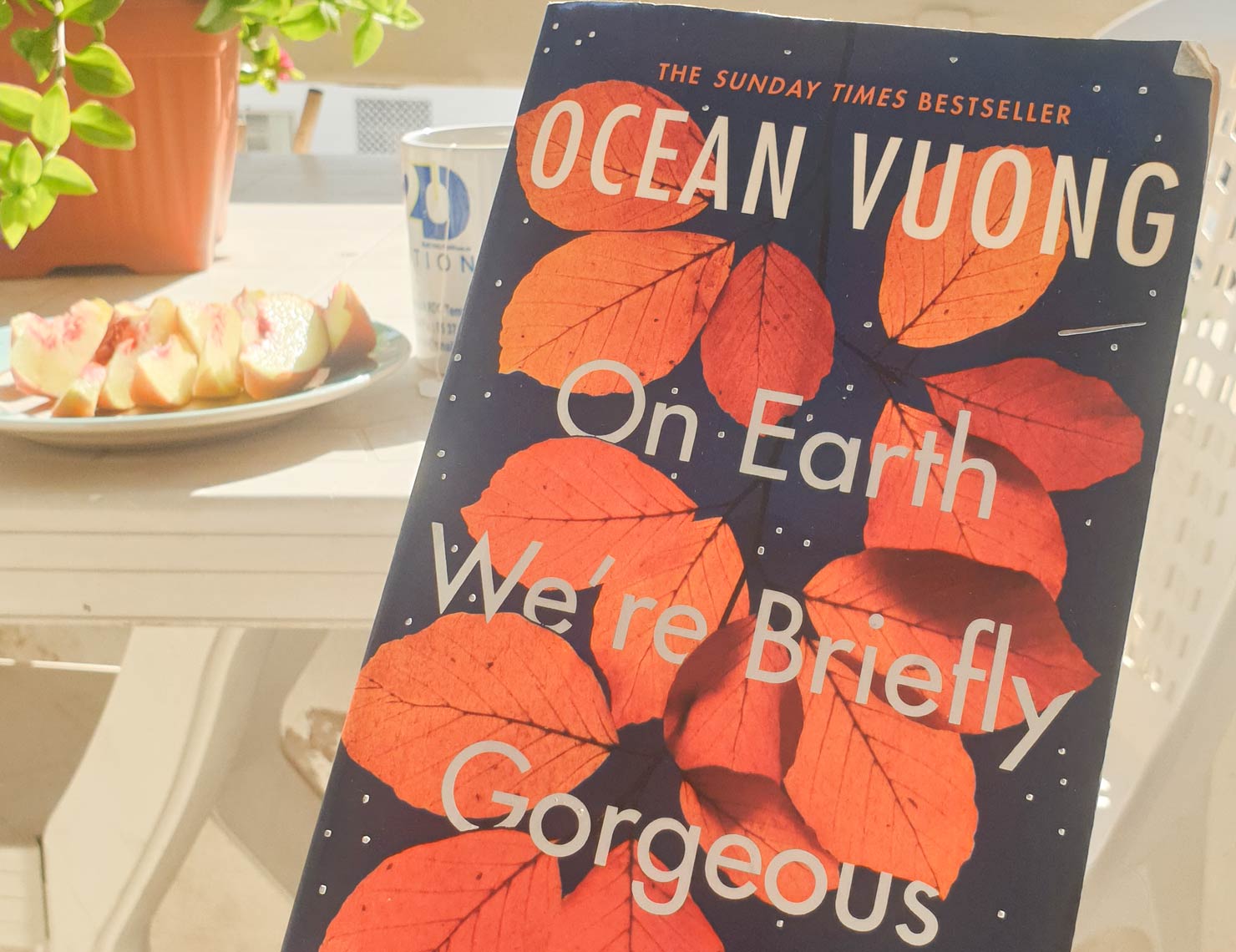 „On Earth, We’re Briefly Ocean Vuong Zuckerbäckerei