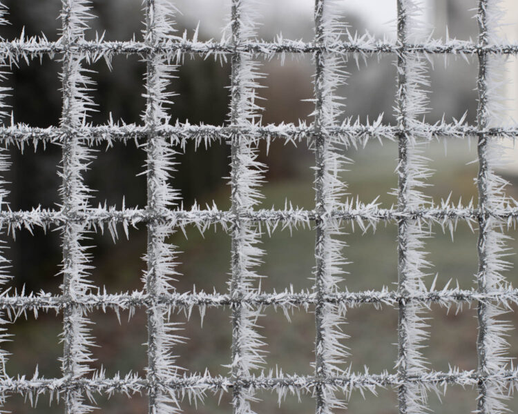 raureif an gartengatter