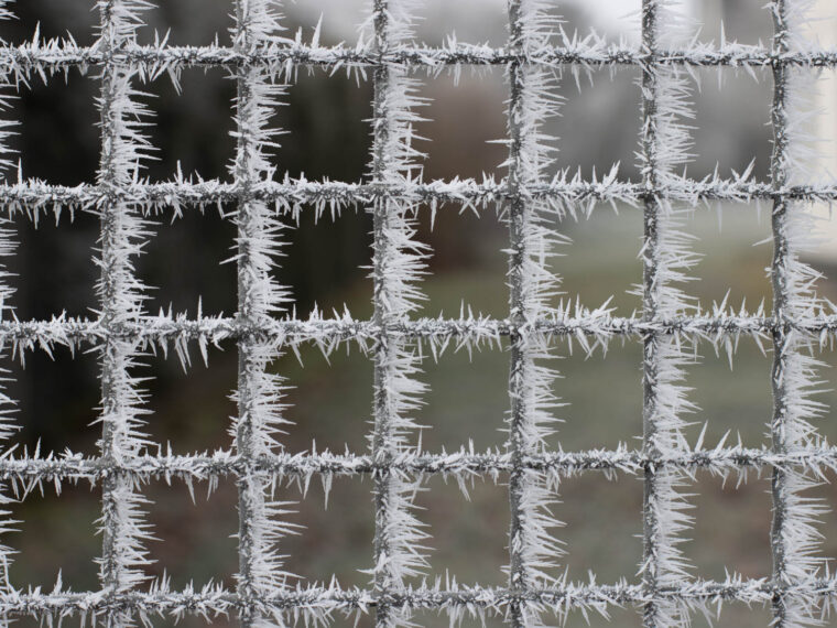 raureif an gartengatter