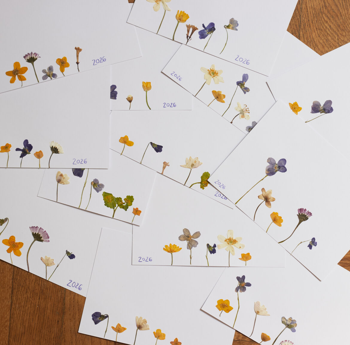 karten mit getrockneten blüten