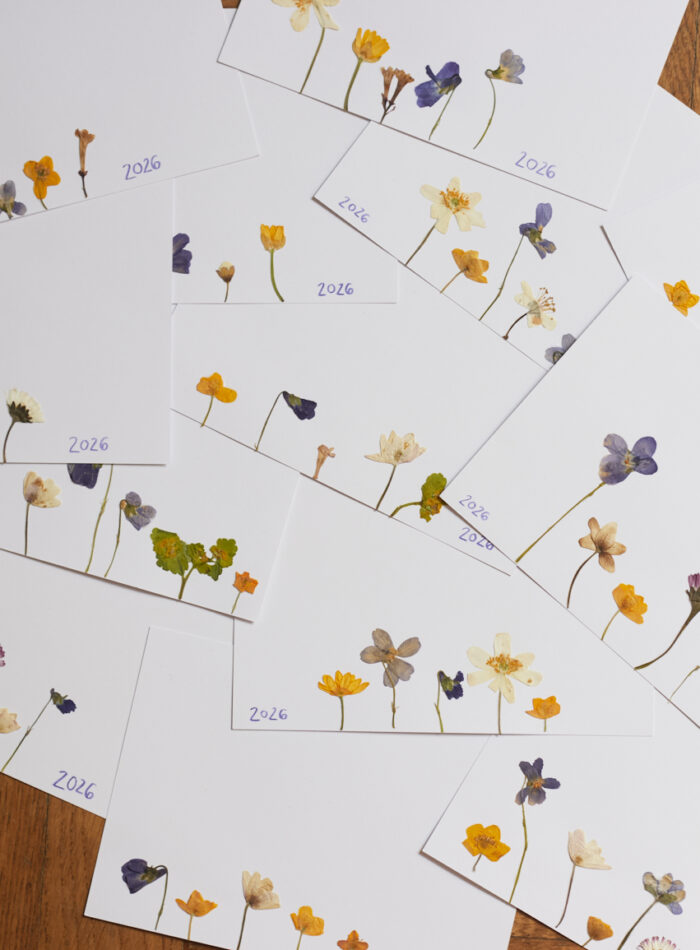 karten mit getrockneten blüten