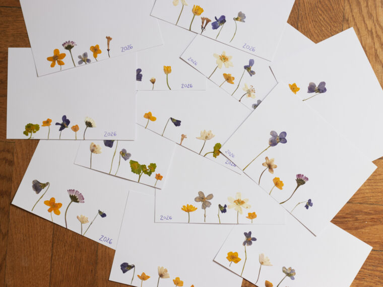 karten mit getrockneten blüten